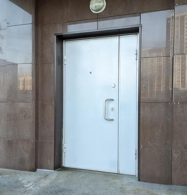 Стальная дверь с ручкой-скобой Стальная дверь с ручкой-скобой