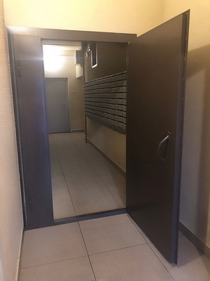 Тамбурная входная дверь Тамбурная входная дверь