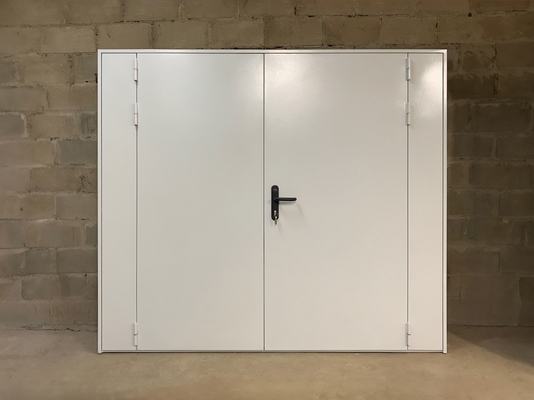 Двустворчатая дверь с боковыми вставками